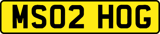 MS02HOG