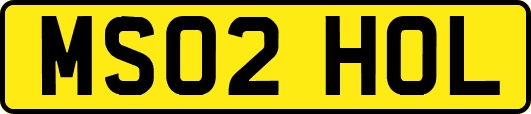 MS02HOL