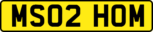 MS02HOM