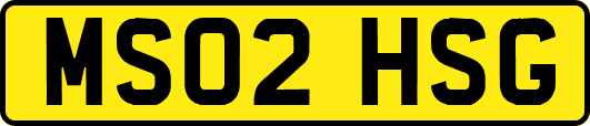 MS02HSG