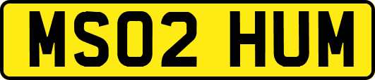 MS02HUM