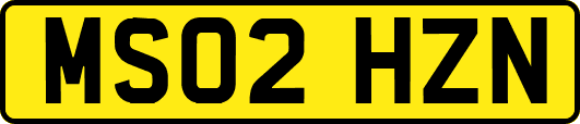 MS02HZN