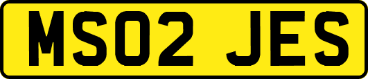 MS02JES