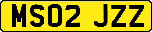 MS02JZZ
