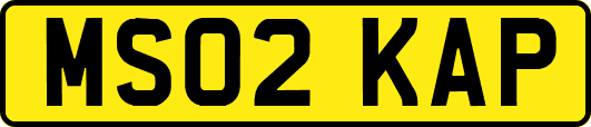 MS02KAP