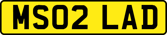 MS02LAD