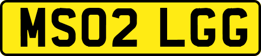 MS02LGG