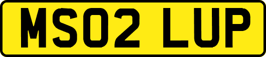 MS02LUP