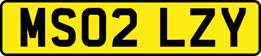 MS02LZY