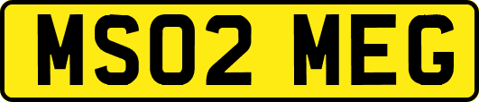 MS02MEG