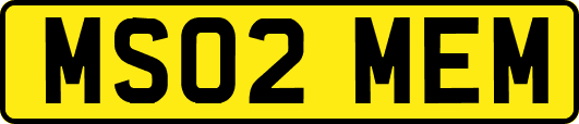 MS02MEM