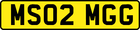 MS02MGG