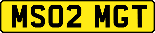 MS02MGT