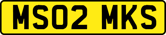 MS02MKS