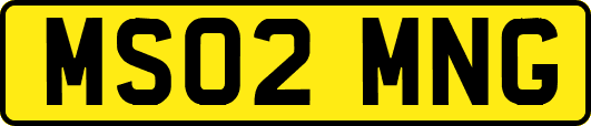 MS02MNG
