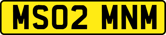 MS02MNM