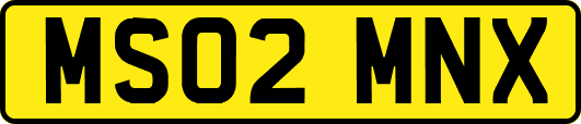 MS02MNX