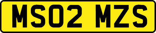MS02MZS