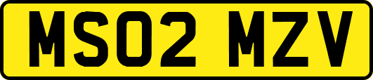 MS02MZV