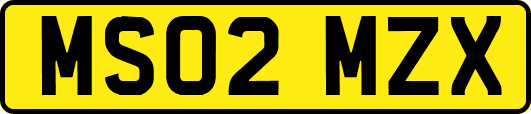 MS02MZX