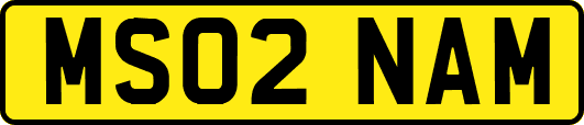 MS02NAM