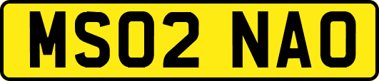 MS02NAO