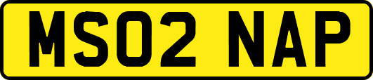 MS02NAP