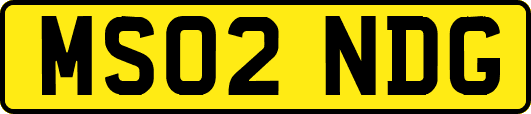 MS02NDG