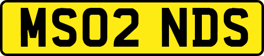 MS02NDS