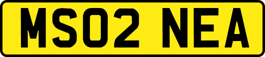 MS02NEA