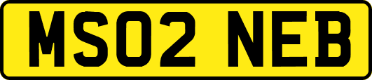 MS02NEB