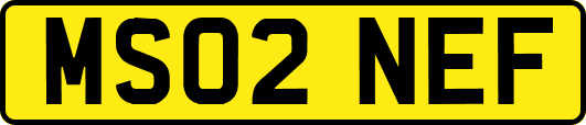 MS02NEF