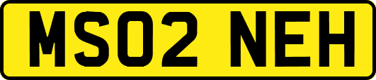MS02NEH
