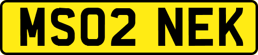 MS02NEK