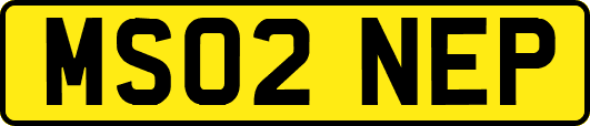 MS02NEP