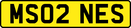 MS02NES