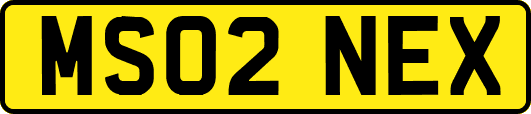 MS02NEX