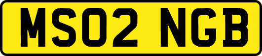MS02NGB
