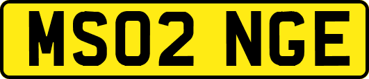 MS02NGE