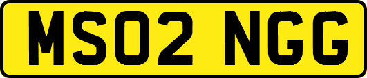 MS02NGG