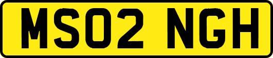 MS02NGH