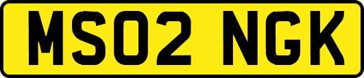 MS02NGK