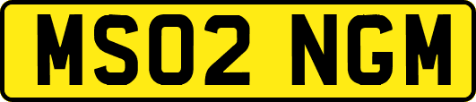 MS02NGM