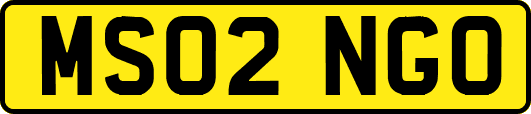 MS02NGO