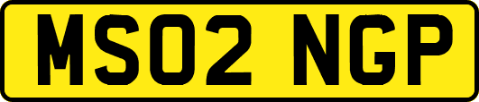 MS02NGP