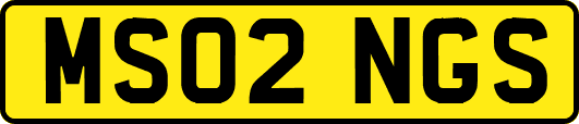 MS02NGS