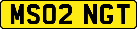 MS02NGT