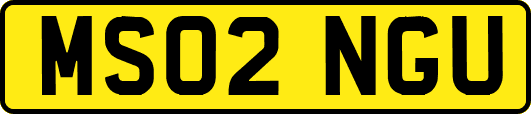 MS02NGU