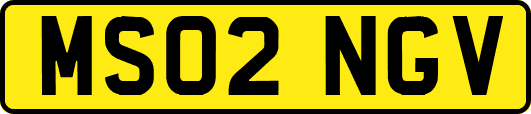 MS02NGV