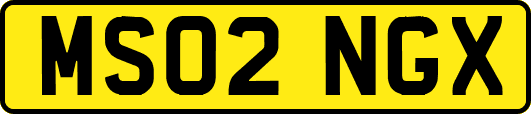 MS02NGX